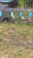 /album/vystava-konana-k-121-vyroci-zalozeni-spolku-12-13-7-20252/20250712-142658-jpg2/
