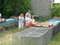 /album/vystava-18-7-19-7-2026/100-0195-jpg/